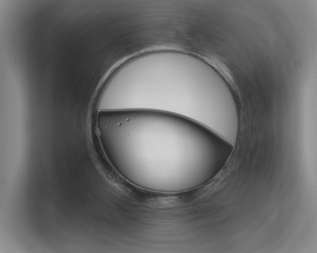 X0000112390108200908131352