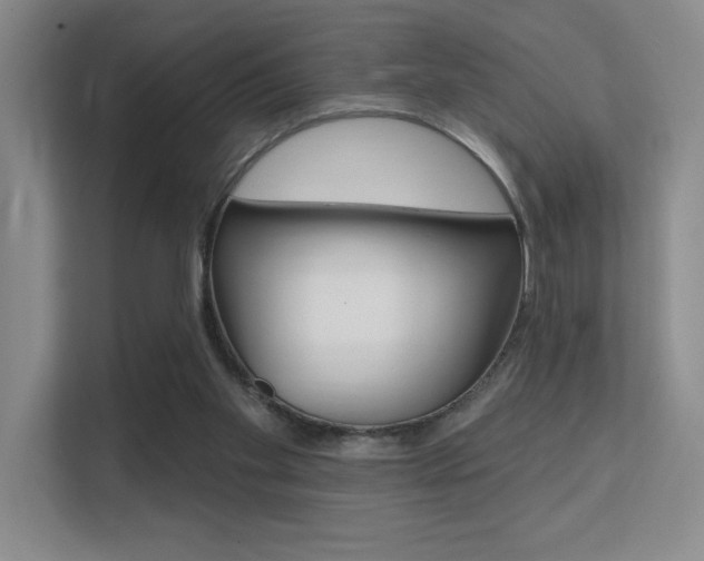 X0000112390109200908131352