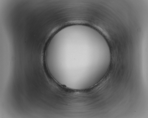 X0000112390111200908131352