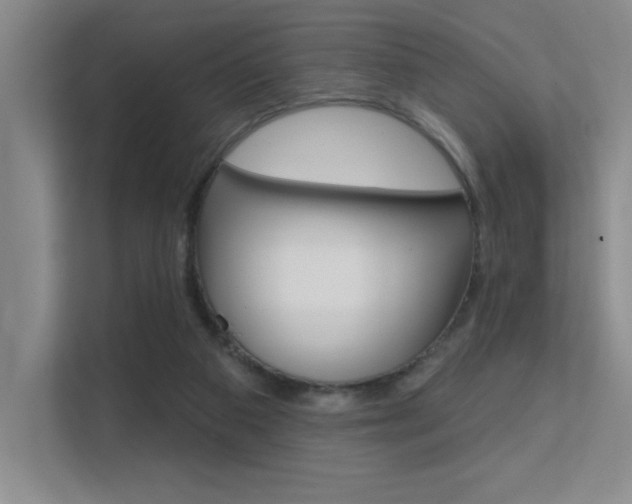 X0000112390113200908131352