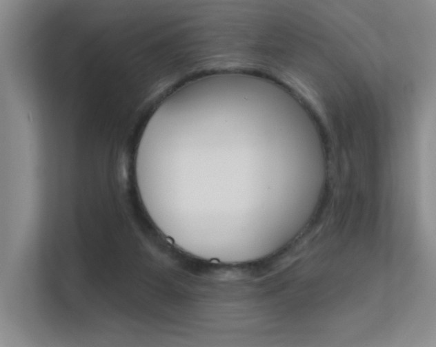 X0000112390115200908131352