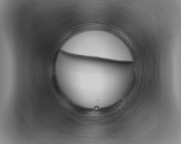 X0000112390119200908131352