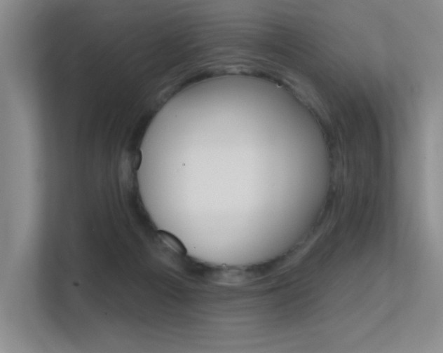 X0000112390121200908131352