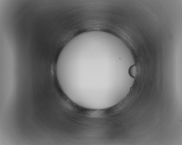 X0000112390122200908131352