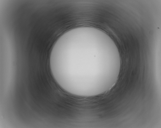 X0000112390124200908131351