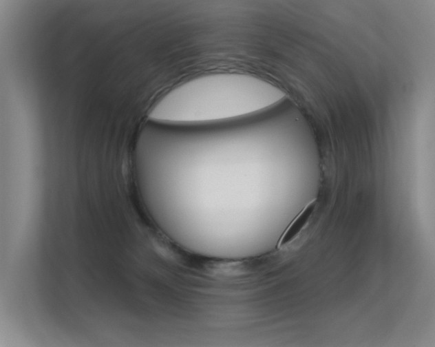 X0000112390132200908131351