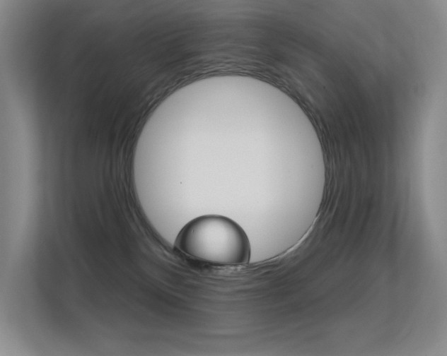 X0000112390136200908131351