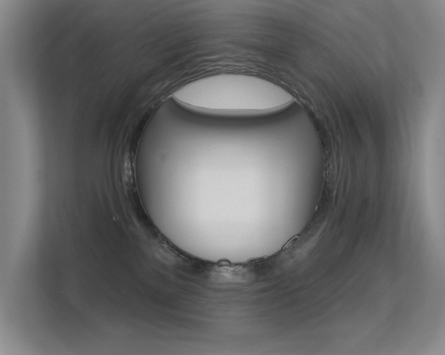 X0000112390137200908131351