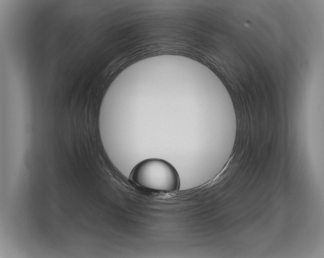 X0000112390140200908131351