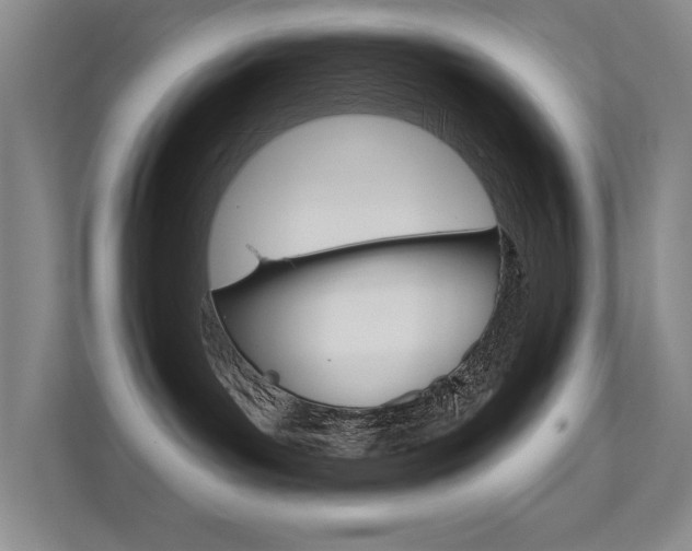 X0000112390143200908131351