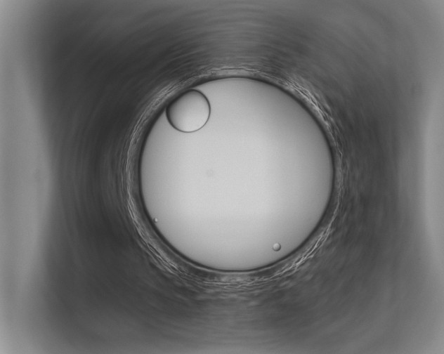 X0000112390145200908131351