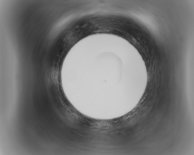 X0000112390146200908131351