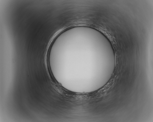 X0000112390147200908131351