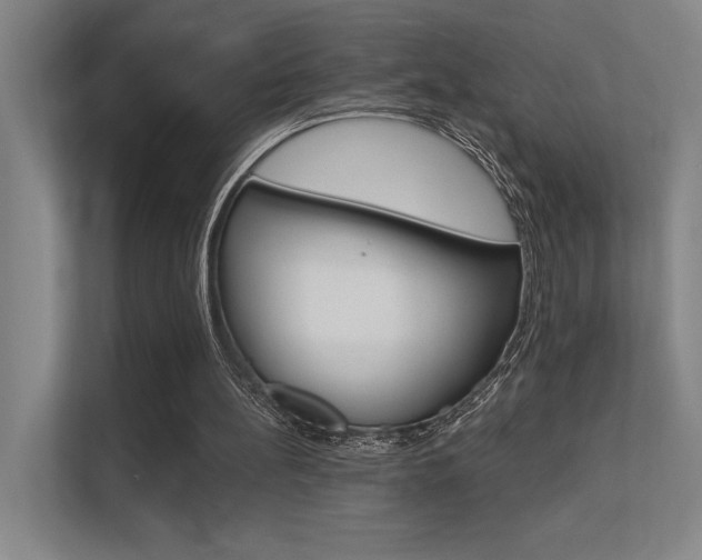 X0000112390148200908131351