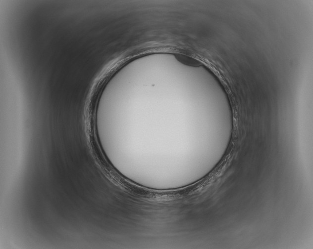 X0000112390149200908131351