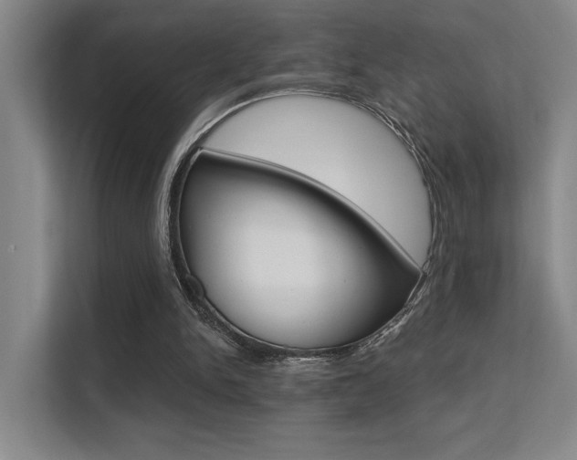 X0000112390150200908131351