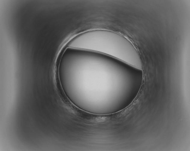 X0000112390152200908131351