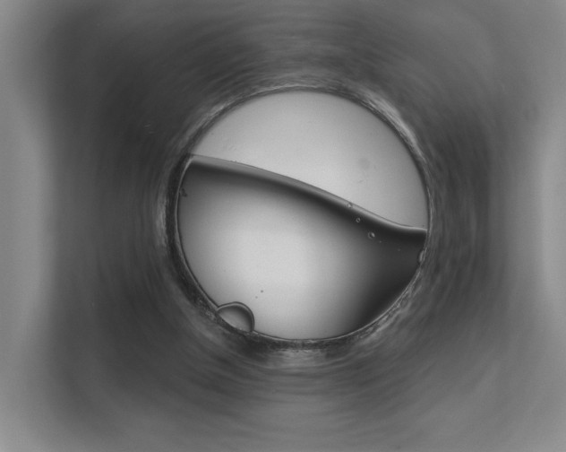 X0000112390154200908131351