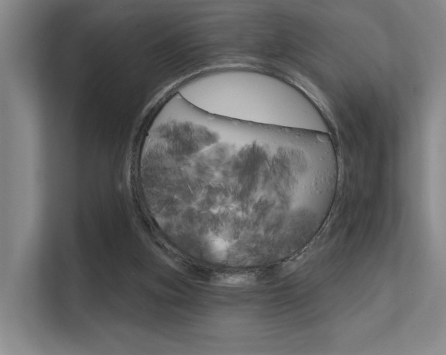 X0000112390155200908131351