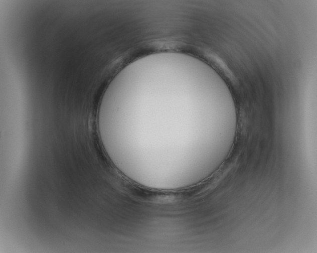 X0000112390161200908131351