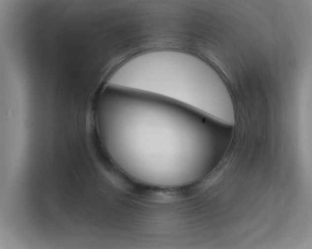 X0000112390164200908131351