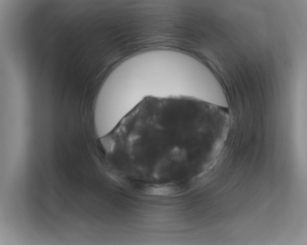 X0000112390171200908131351