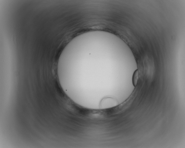 X0000112390175200908131351