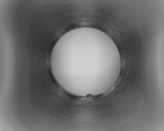 X0000112390179200908131351