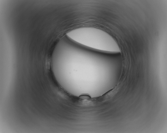 X0000112390180200908131351