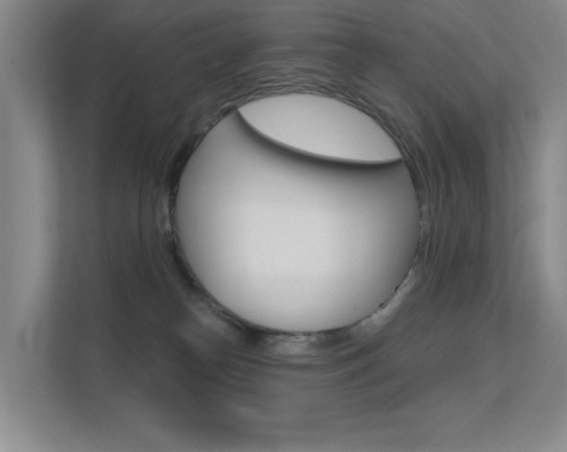 X0000112390182200908131351