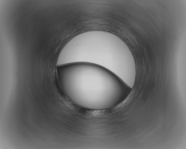 X0000112390184200908131351