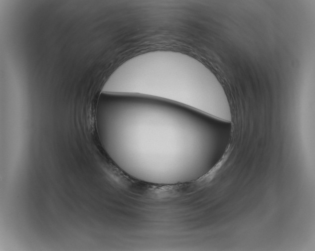 X0000112390186200908131351