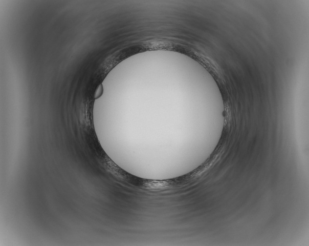 X0000112390189200908131351