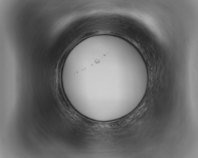 X0000112390194200908131351