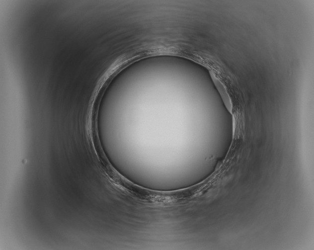 X0000112390195200908131351