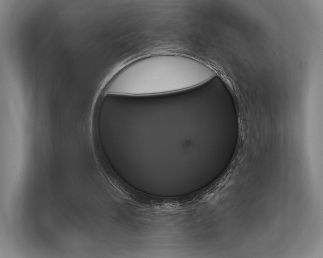 X0000112390196200908131351