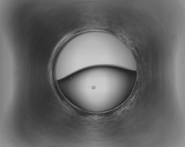 X0000112390197200908131351