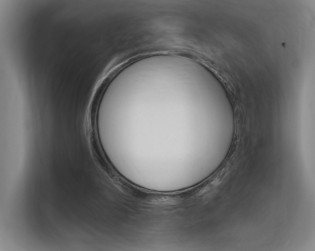 X0000112390198200908131351