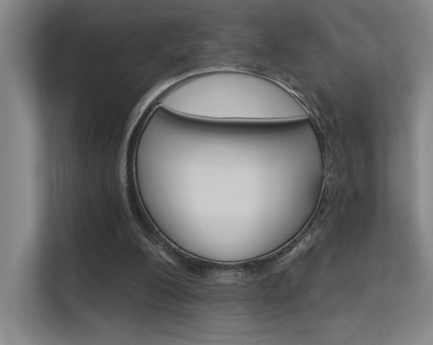 X0000112390200200908131350