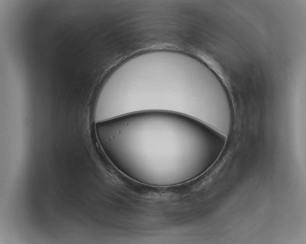 X0000112390201200908131350