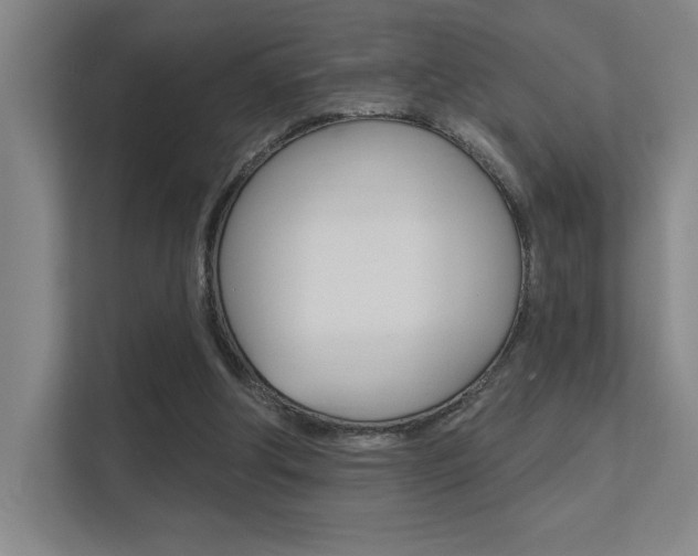 X0000112390202200908131350