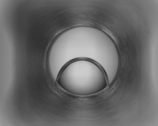 X0000112390203200908131350