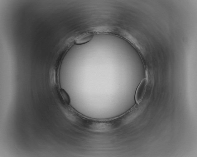 X0000112390205200908131350