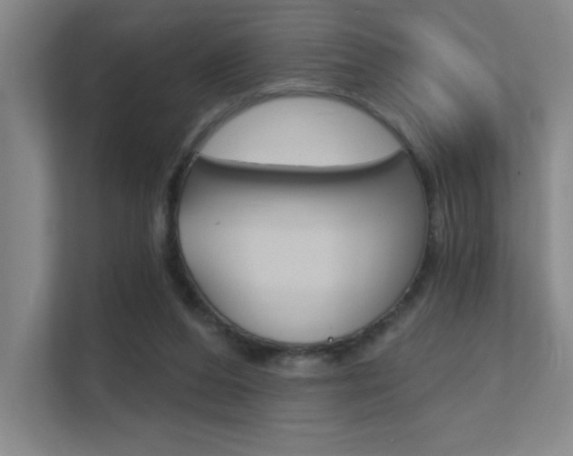 X0000112390208200908131350