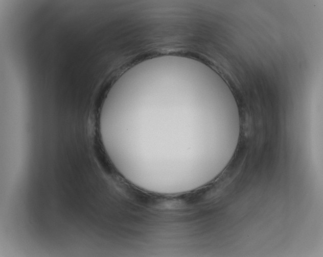 X0000112390210200908131350