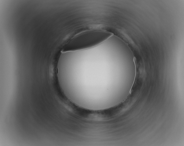 X0000112390211200908131350