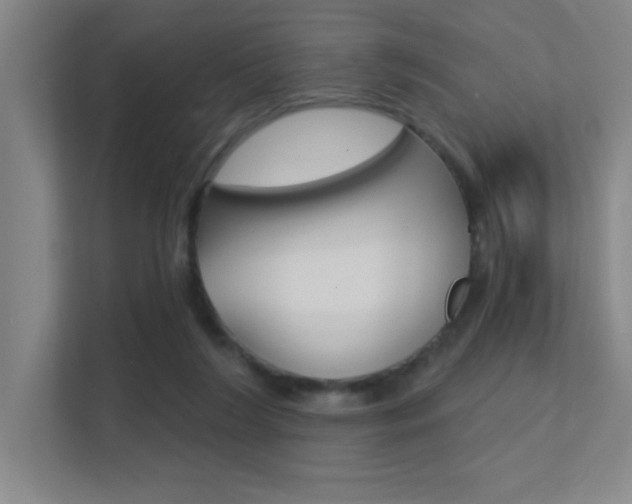 X0000112390212200908131350