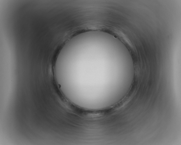 X0000112390213200908131350