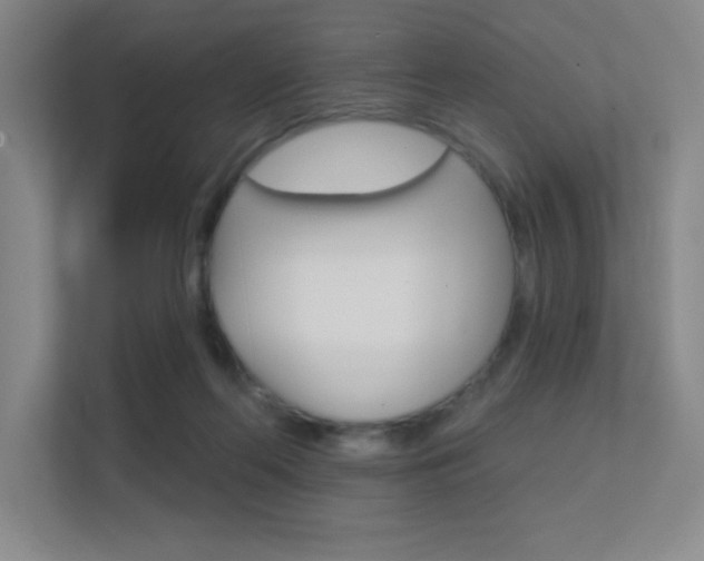 X0000112390214200908131350