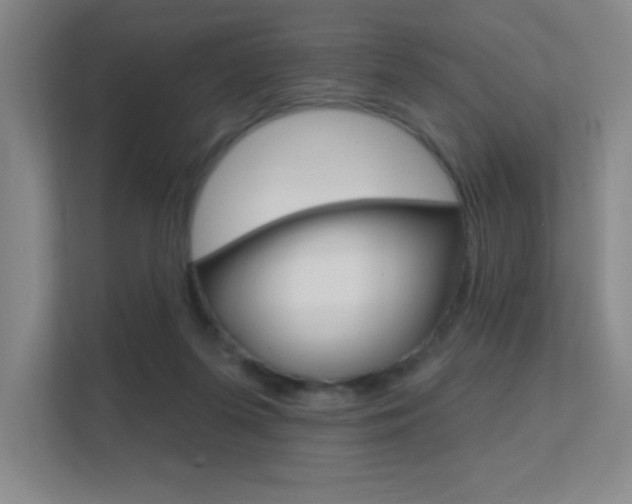 X0000112390215200908131350